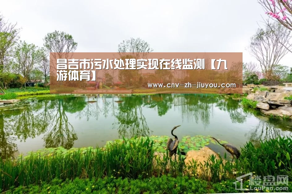 昌吉市污水处理实现在线监测【九游体育】