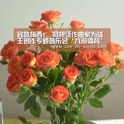 九游体育