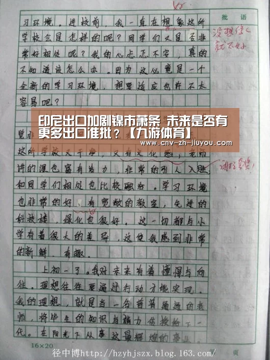 印尼出口加剧镍市萧条 未来是否有更多出口准批？【九游体育】