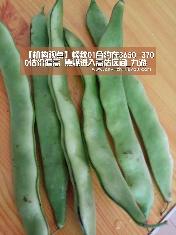 九游体育