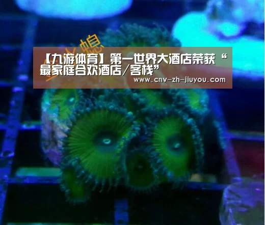 九游体育